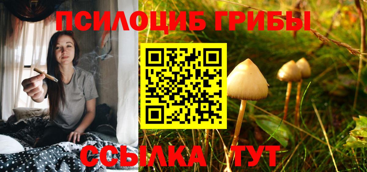 Галлюциногенные грибы мицелий  Вход с VPN  Псилоцибиновые грибы MAGIC MUSHROOMS  Ростов Великий 