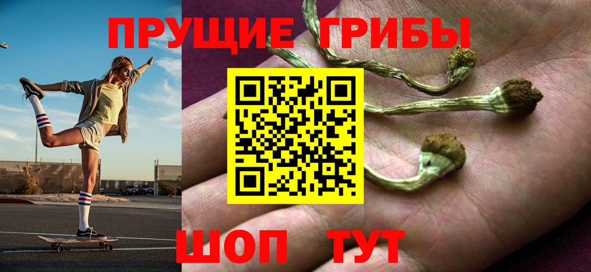Галлюциногенные грибы прущие грибы Ростов Великий